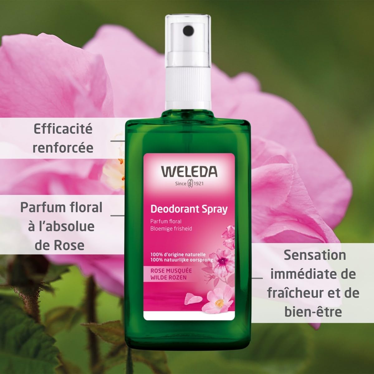 WELEDA Organic Wild Roses Deodorant,  100 ml