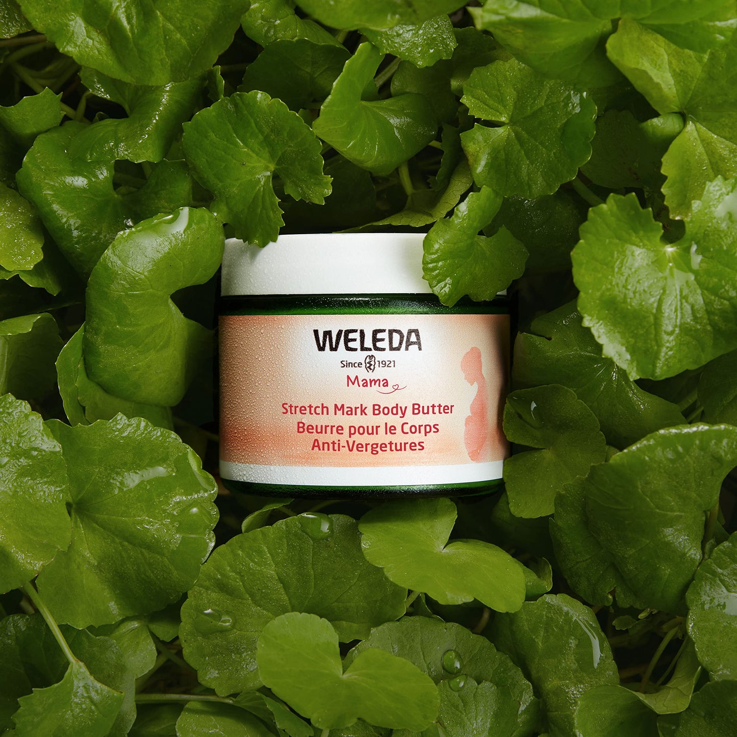 Weleda Stretch Mark Body Butter Prevention Cream